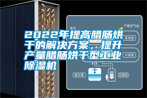 2022年提高臘腸烘干的解決方案，提升產(chǎn)量臘腸烘干型工業(yè)除濕機(jī)