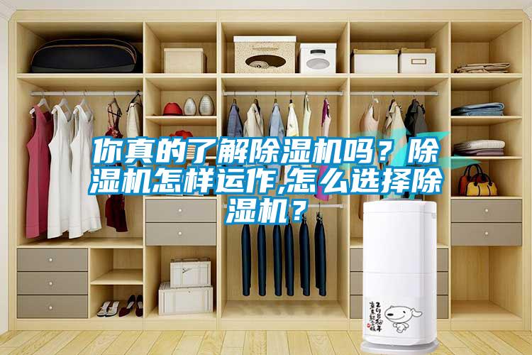 你真的了解除濕機嗎？除濕機怎樣運作,怎么選擇除濕機？