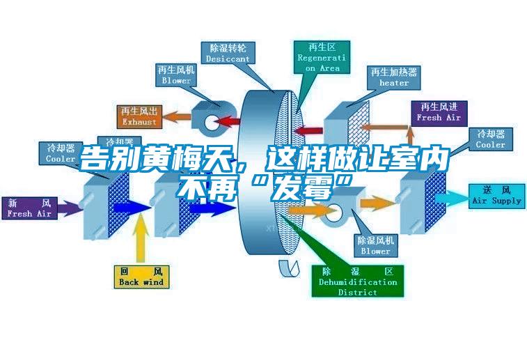 告別黃梅天，這樣做讓室內(nèi)不再“發(fā)霉”