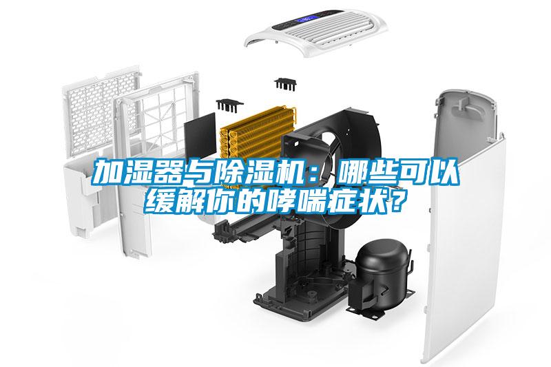 加濕器與除濕機：哪些可以緩解你的哮喘癥狀？