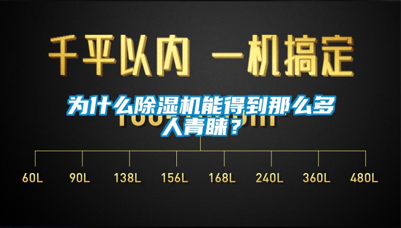 為什么除濕機能得到那么多人青睞？