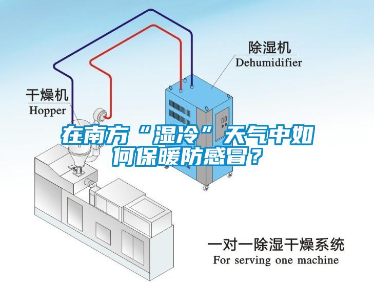 在南方“濕冷”天氣中如何保暖防感冒？