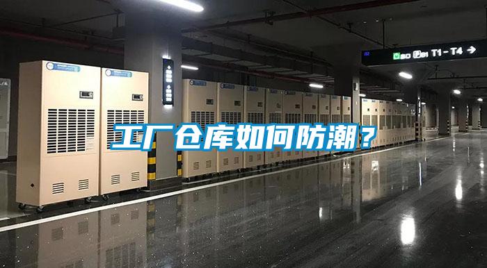 水力發(fā)電廠使用安詩(shī)曼除濕機(jī)擺脫潮濕煩惱