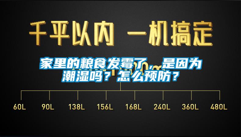 家里的糧食發(fā)霉了，是因?yàn)槌睗駟?？怎么預(yù)防？