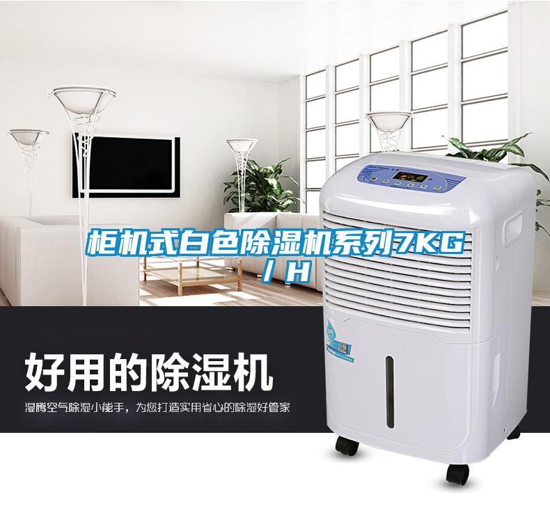 柜機式白色除濕機系列7KG／H