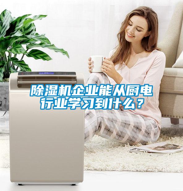 除濕機(jī)企業(yè)能從廚電行業(yè)學(xué)習(xí)到什么？