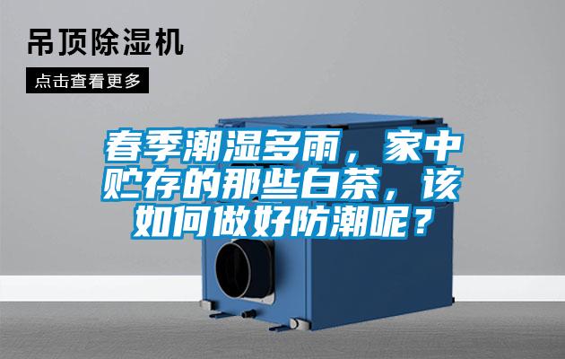 春季潮濕多雨，家中貯存的那些白茶，該如何做好防潮呢？