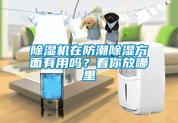 除濕機(jī)在防潮除濕方面有用嗎？看你放哪里