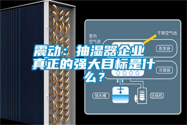 震動：抽濕器企業(yè) 真正的強大目標是什么？