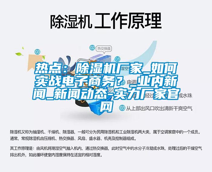 熱點：除濕機廠家_如何實戰(zhàn)電子商務？_業(yè)內(nèi)新聞_新聞動態(tài)-實力廠家官網(wǎng)