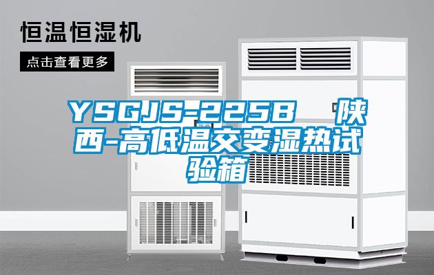 YSGJS-225B  陜西-高低溫交變濕熱試驗箱