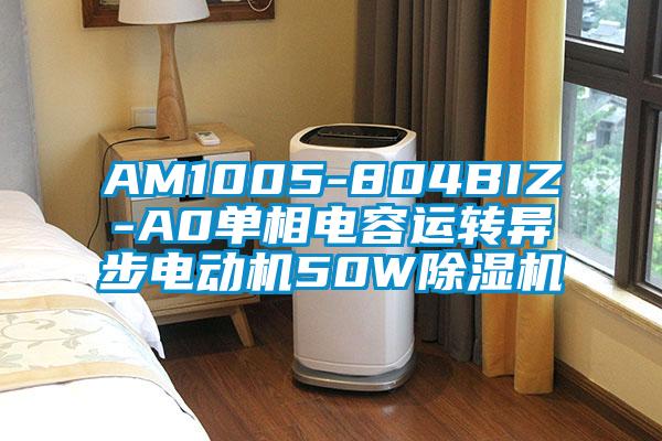 AM1005-804BIZ-A0單相電容運轉(zhuǎn)異步電動機50W除濕機