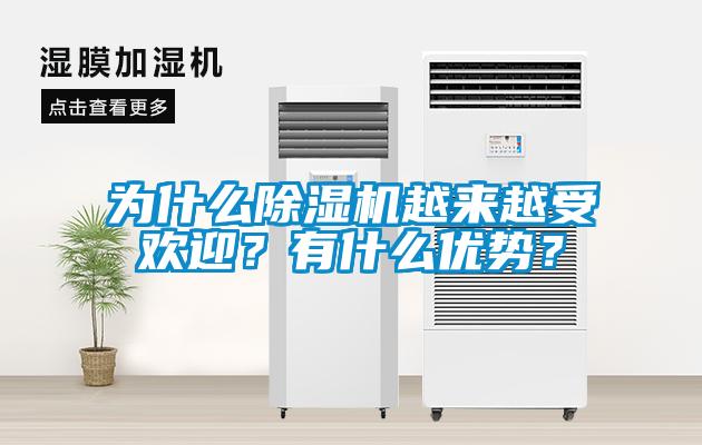 為什么除濕機越來越受歡迎？有什么優(yōu)勢？