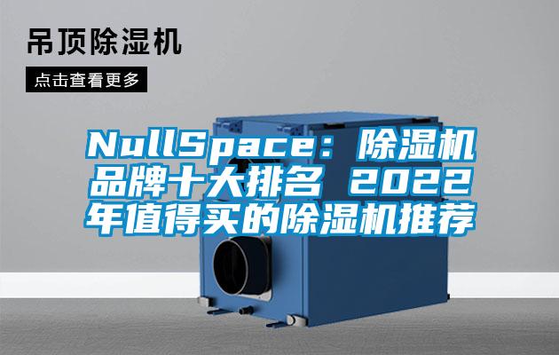 NullSpace：除濕機(jī)品牌十大排名 2022年值得買(mǎi)的除濕機(jī)推薦