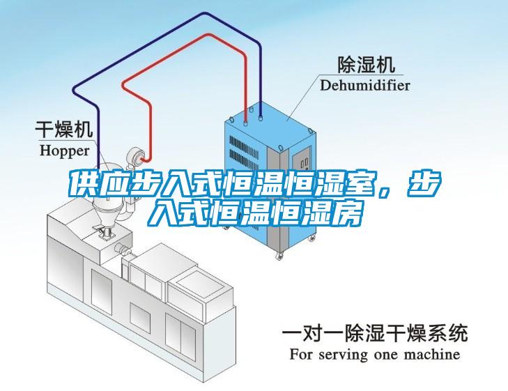 供應(yīng)步入式恒溫恒濕室，步入式恒溫恒濕房