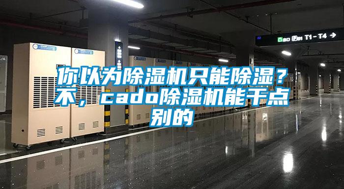 你以為除濕機只能除濕？不，cado除濕機能干點別的