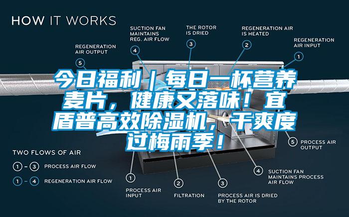 今日福利｜每日一杯營養(yǎng)麥片，健康又落味！宜盾普高效除濕機，干爽度過梅雨季！