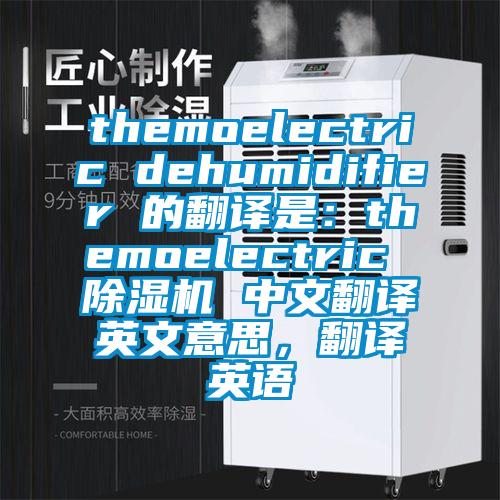 themoelectric dehumidifier 的翻譯是：themoelectric 除濕機(jī) 中文翻譯英文意思，翻譯英語