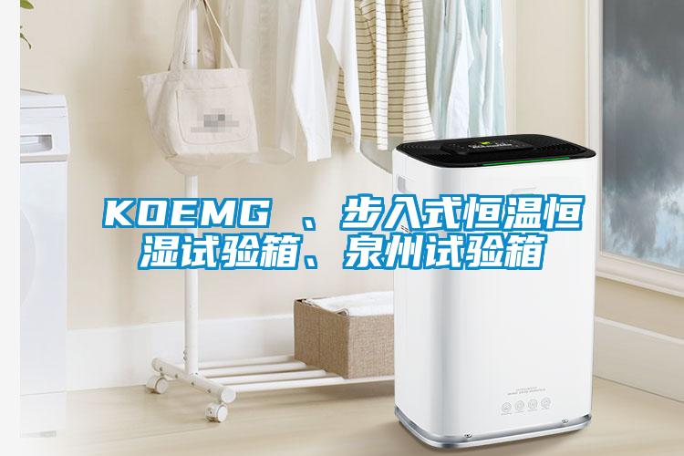 KOEMG 、步入式恒溫恒濕試驗(yàn)箱、泉州試驗(yàn)箱