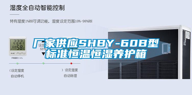 廠家供應SHBY-60B型標準恒溫恒濕養(yǎng)護箱