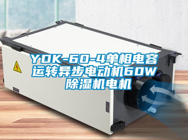 YDK-60-4單相電容運轉(zhuǎn)異步電動機60W 除濕機電機