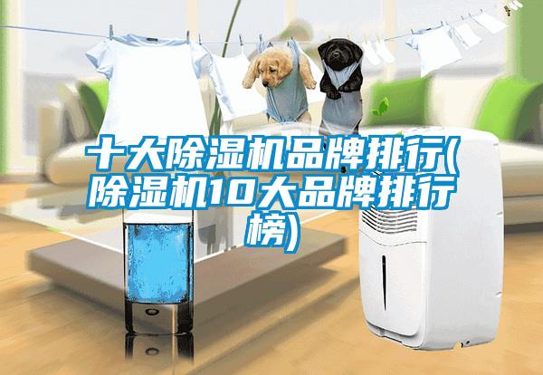 十大除濕機(jī)品牌排行(除濕機(jī)10大品牌排行榜)