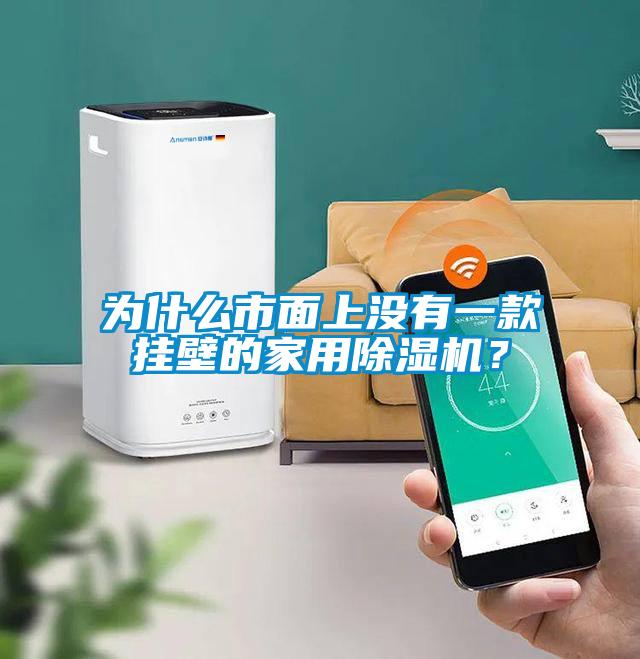 為什么市面上沒(méi)有一款掛壁的家用除濕機(jī)？