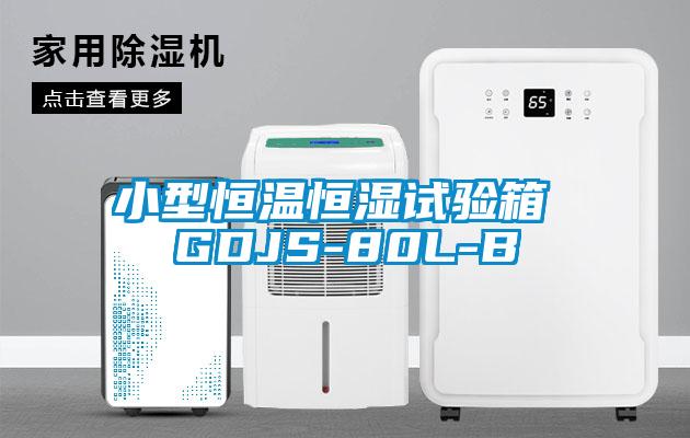 小型恒溫恒濕試驗(yàn)箱 GDJS-80L-B