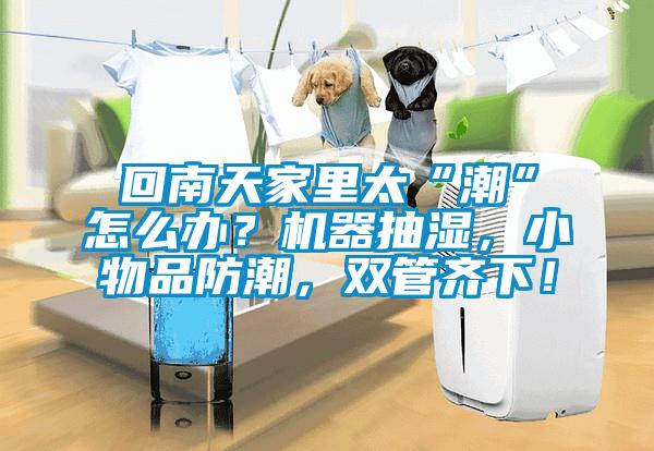 回南天家里太“潮”怎么辦？機器抽濕，小物品防潮，雙管齊下！