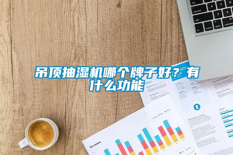 吊頂抽濕機哪個牌子好？有什么功能