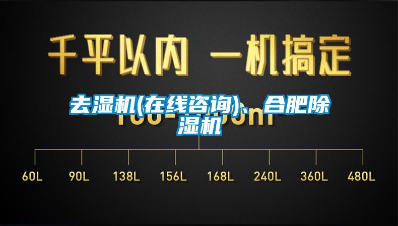 去濕機(jī)(在線咨詢)、合肥除濕機(jī)