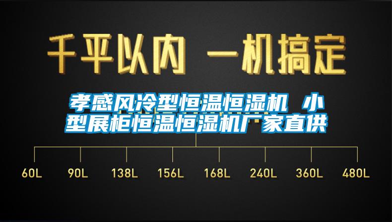 孝感風(fēng)冷型恒溫恒濕機(jī) 小型展柜恒溫恒濕機(jī)廠家直供