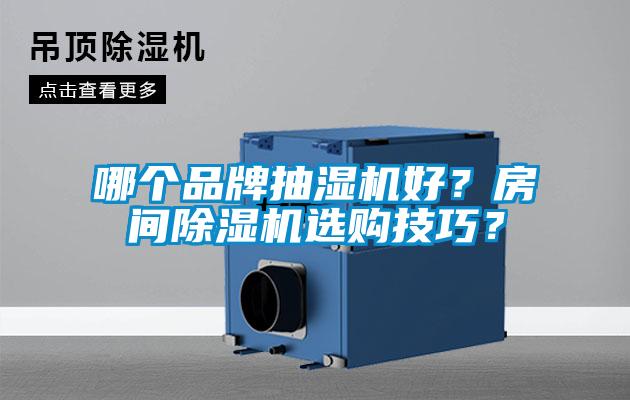 哪個(gè)品牌抽濕機(jī)好？房間除濕機(jī)選購技巧？