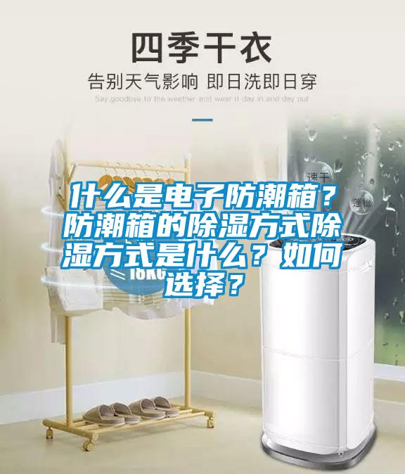 什么是電子防潮箱？防潮箱的除濕方式除濕方式是什么？如何選擇？