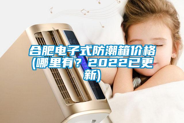 合肥電子式防潮箱價(jià)格(哪里有？2022已更新)