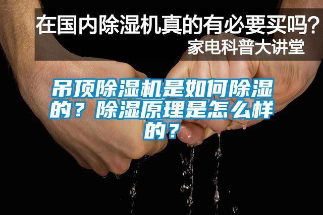 吊頂除濕機是如何除濕的？除濕原理是怎么樣的？