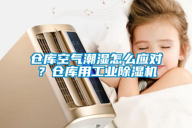 倉庫空氣潮濕怎么應對？倉庫用工業(yè)除濕機