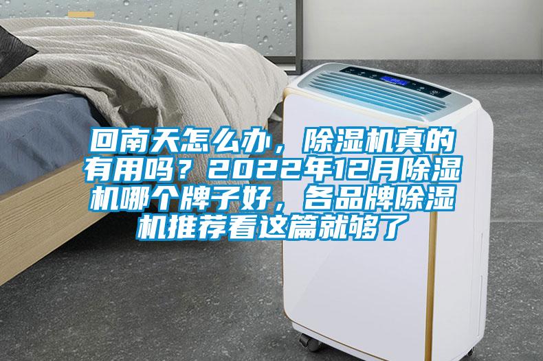 回南天怎么辦，除濕機真的有用嗎？2022年12月除濕機哪個牌子好，各品牌除濕機推薦看這篇就夠了