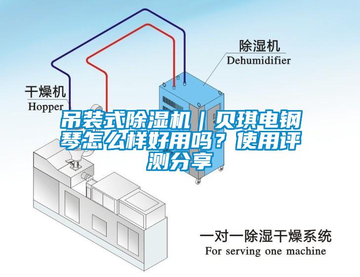 吊裝式除濕機(jī)｜貝琪電鋼琴怎么樣好用嗎？使用評(píng)測(cè)分享