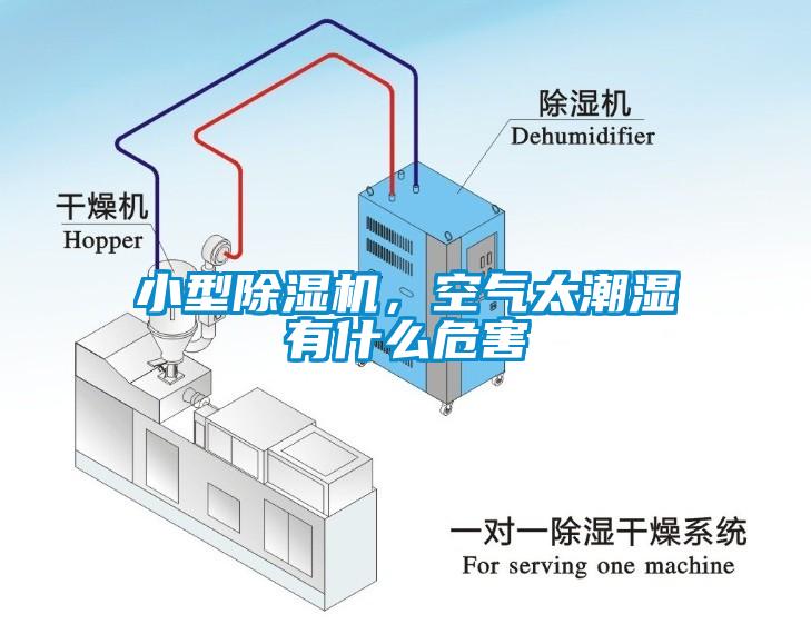 小型除濕機(jī)，空氣太潮濕有什么危害