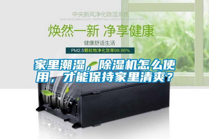 家里潮濕，除濕機(jī)怎么使用，才能保持家里清爽？