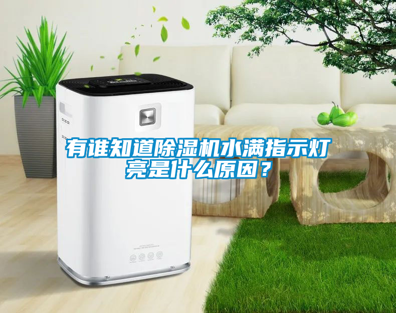 有誰知道除濕機水滿指示燈亮是什么原因？