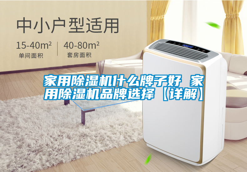 家用除濕機(jī)什么牌子好 家用除濕機(jī)品牌選擇【詳解】