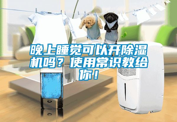 晚上睡覺可以開除濕機嗎？使用常識教給你！