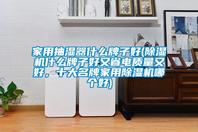 家用抽濕器什么牌子好(除濕機(jī)什么牌子好又省電質(zhì)量又好，十大名牌家用除濕機(jī)哪個(gè)好)