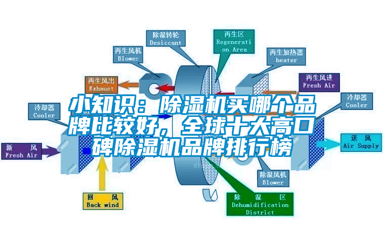 小知識(shí)：除濕機(jī)買哪個(gè)品牌比較好，全球十大高口碑除濕機(jī)品牌排行榜