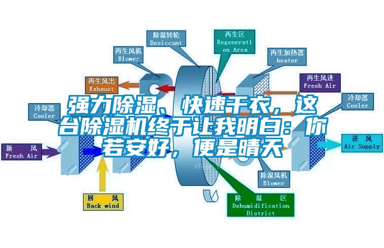 強(qiáng)力除濕、快速干衣，這臺(tái)除濕機(jī)終于讓我明白：你若安好，便是晴天