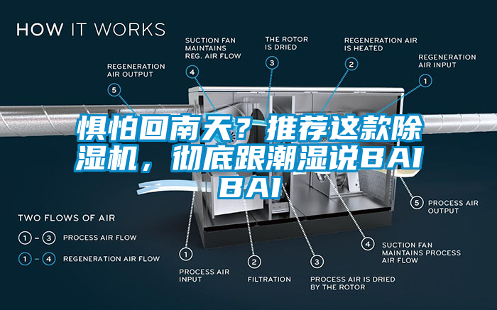 懼怕回南天？推薦這款除濕機，徹底跟潮濕說BAIBAI