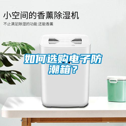 如何選購電子防潮箱？