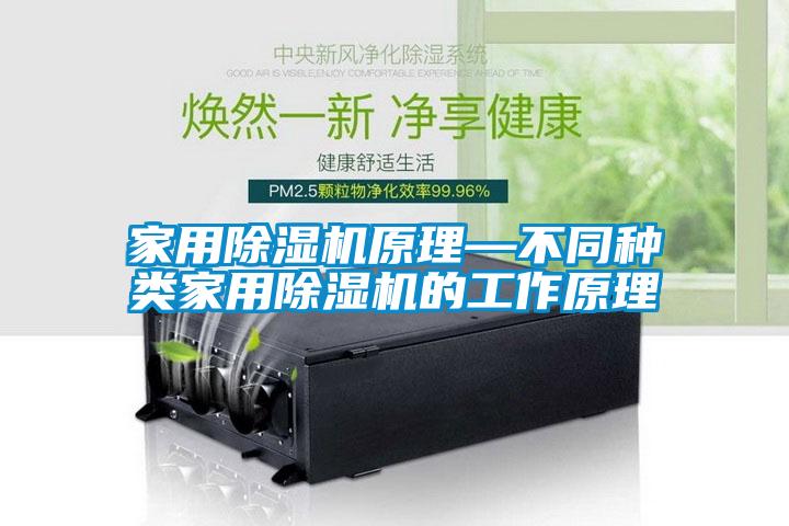 家用除濕機(jī)原理—不同種類家用除濕機(jī)的工作原理